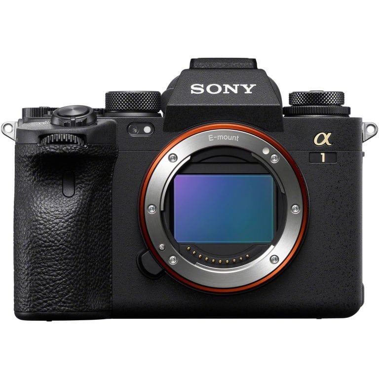 Sony Mirrorless – system of choice since 2019
